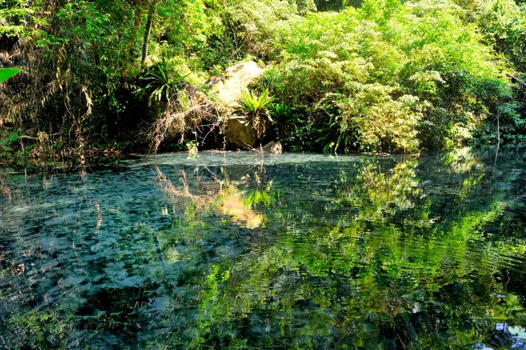 【遙想先民浸穀生芽備來春播種，於今小池幽謐青碧映綠如仙境。】