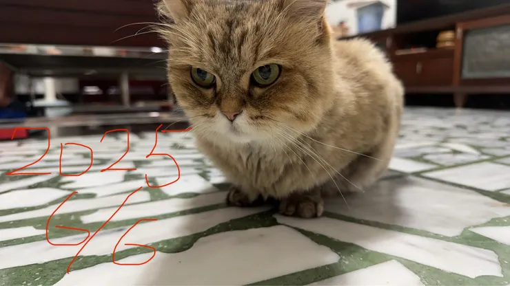 媽媽拍攝於 2025/6/6