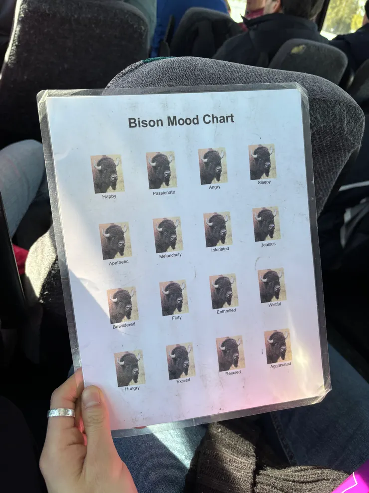 最後附上Bison心情圖結束這篇文章！