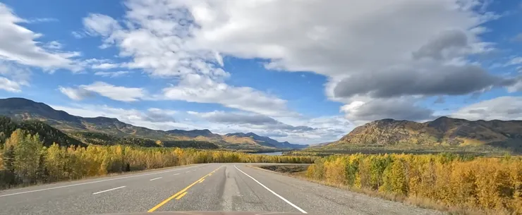 秋季，金黃色的阿拉斯加公路