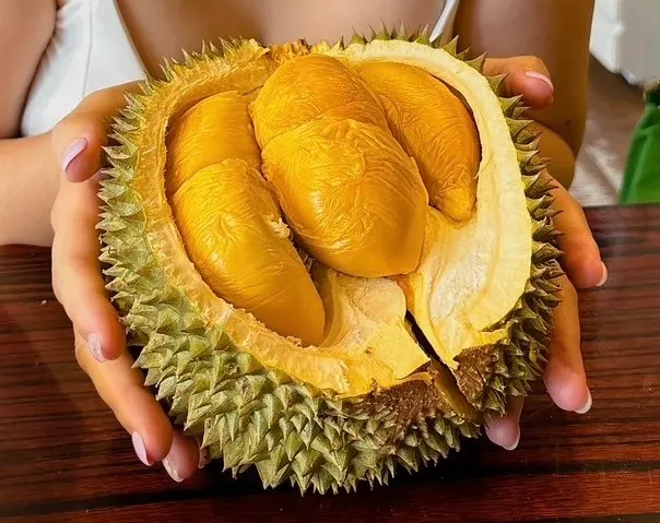 第一顆，黑刺，小小一顆，每一塊肉都好好吃！（圖片來源：辰心）