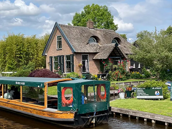 狗狗還是狐狸？