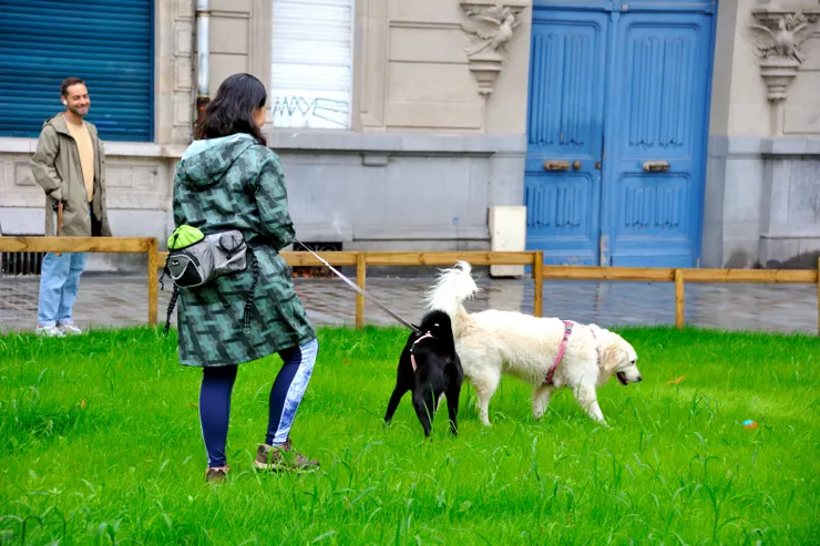 【巴黎門週圍草地順便遛狗，喜相逢。】