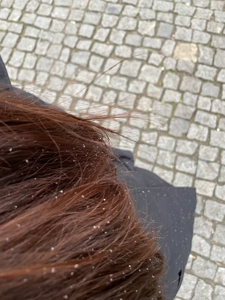 用意念逆轉天氣的我 對這是雪花