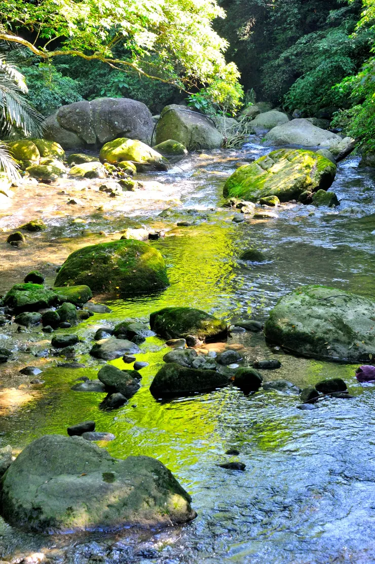 【四十二份溪流湧泉依舊清澈見底 山水如恆但人皆無恙多麼不容易！此為蓬萊溪之一段。】