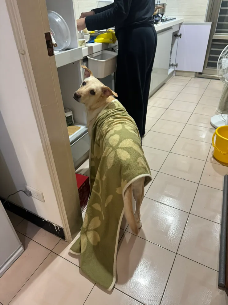 此時很適合來一張可愛雞蛋