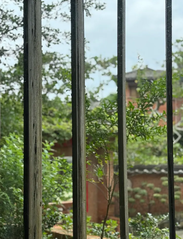 手痛動不了的感覺，就像坐在窗戶內，看著窗外一片熱鬧繁華、生機盎然，自己卻寂寥到了無生趣。