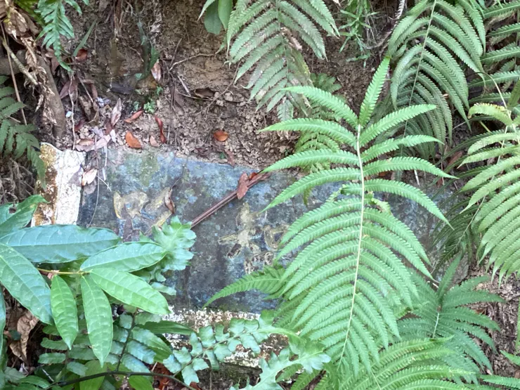 這一條路是從前衛哨巡邏的路線之一「大智路」，旁邊土堤留下了路牌，為歷史見證