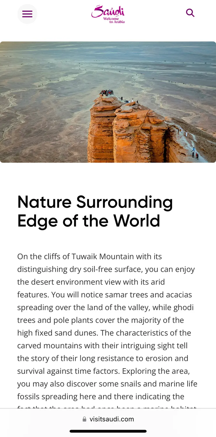 看他們的網站多麼精緻