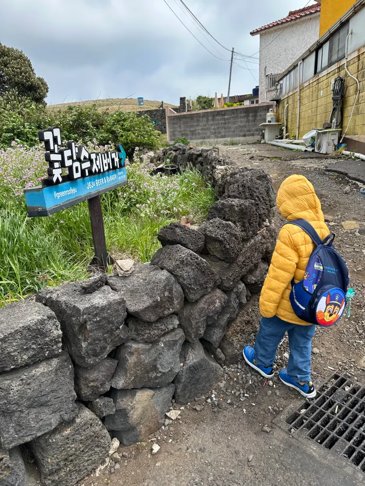 狂風吹，吹得我心累