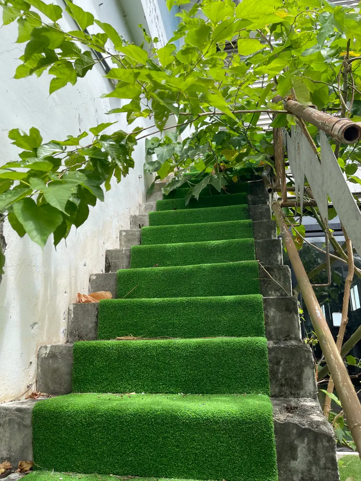 被樹遮擋的路線