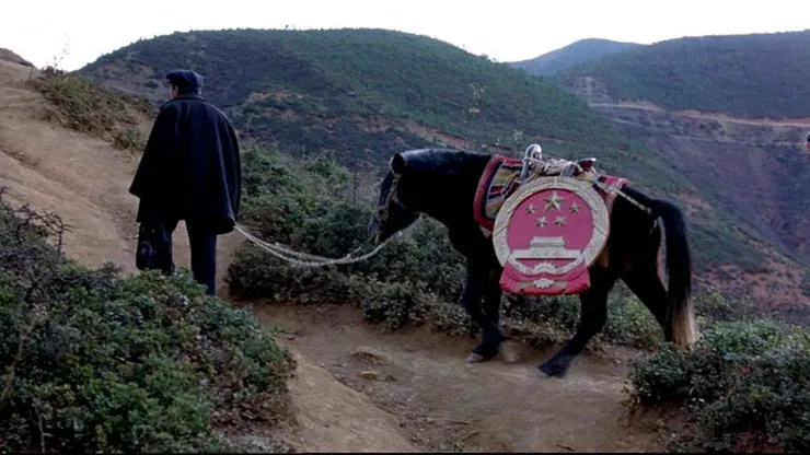 《馬背上的法庭》劇照