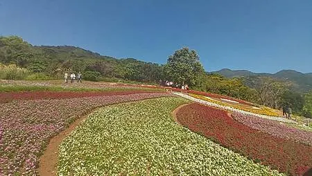 [台北旅遊]凱達格蘭族北投社到北投區三層崎公園花海、大冠鷲著