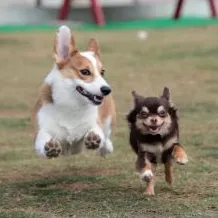 新竹科技老男孩的沙龍