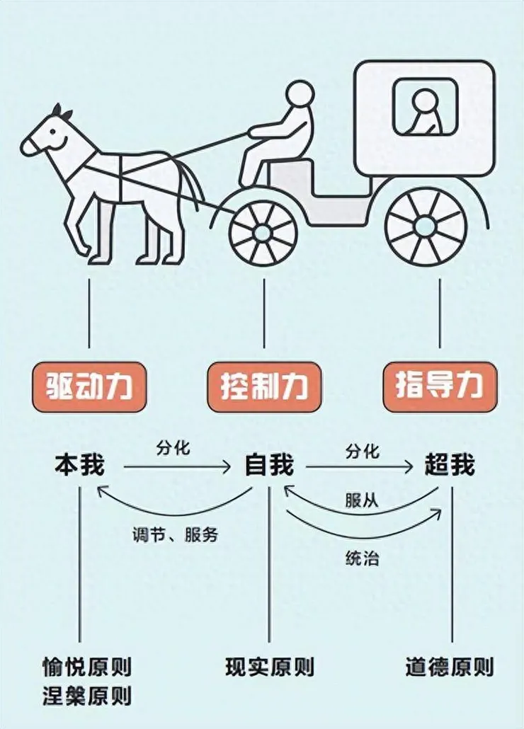 佛洛伊德精神分析理論