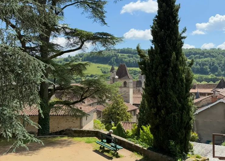 樹下，婦人悠哉的看著書，享受寧靜的午後時光