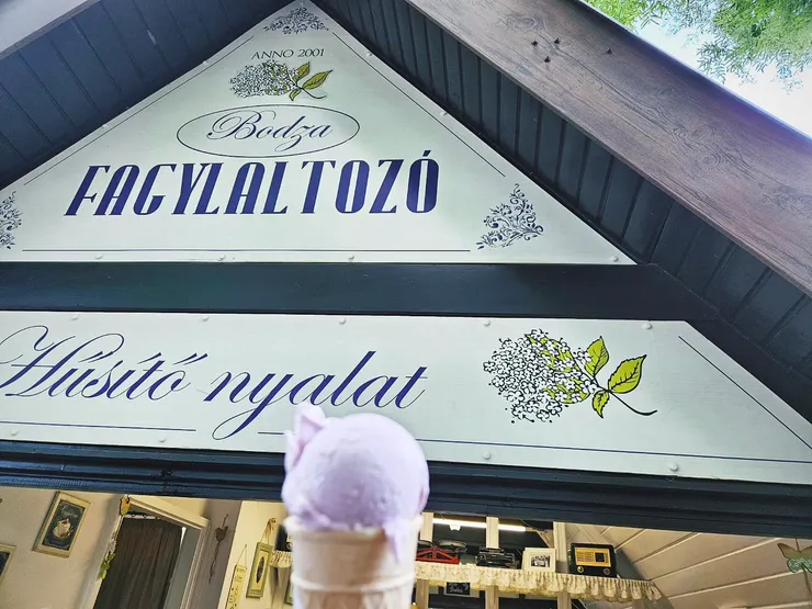 坦白說,他們家榛果口味比薰衣草好吃很多。。。