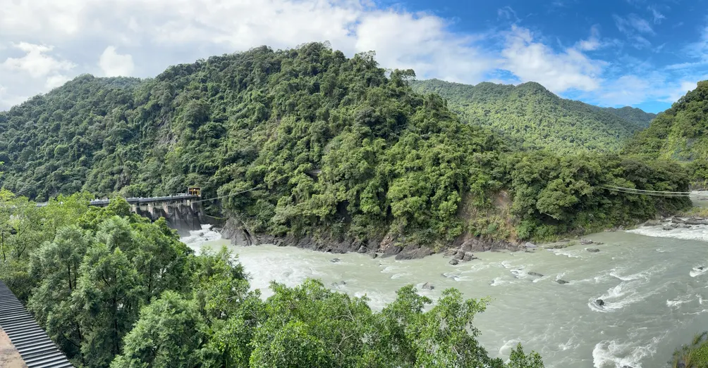 Alice | 到府工作日記