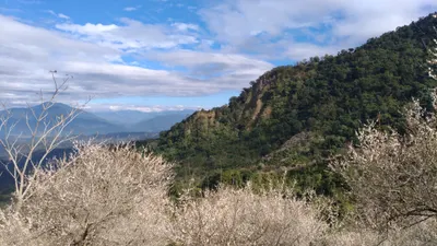 乙女遊戲情報前線★