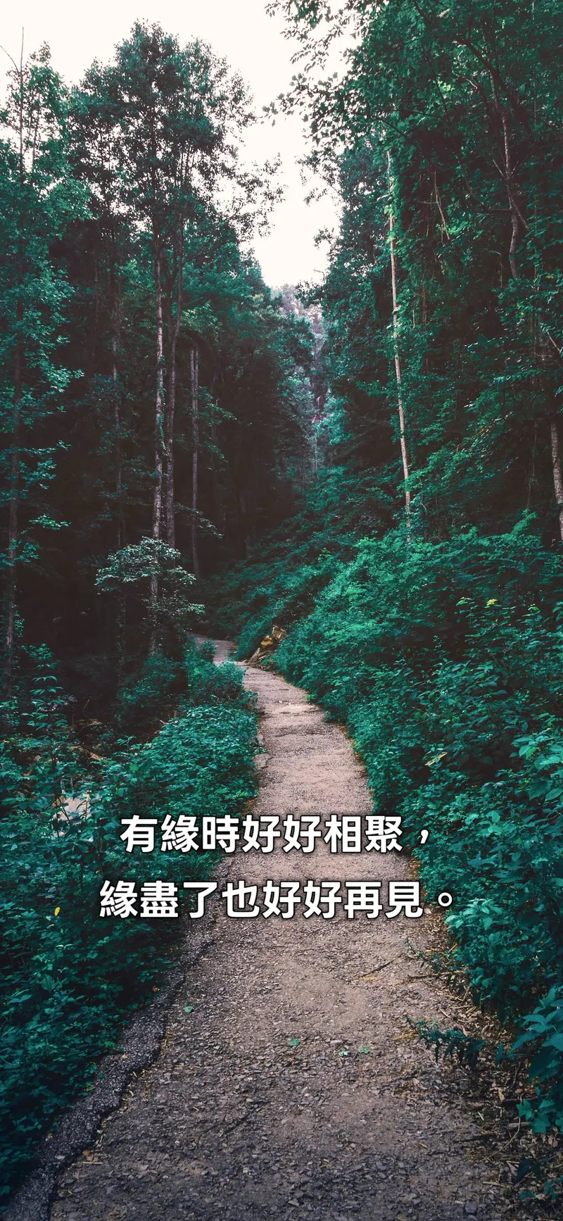 src