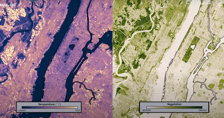 綠化區域明顯較為低溫