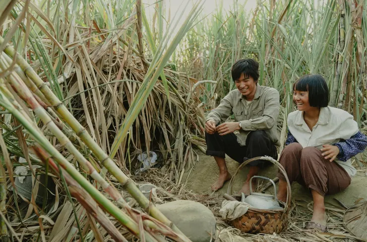 阿雲被政府抓走後，全家人也受到牽連