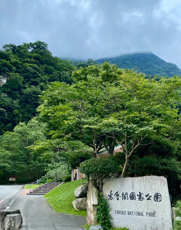 服務中心很舒服 吹來都是涼風 有綠地可以躺著廢