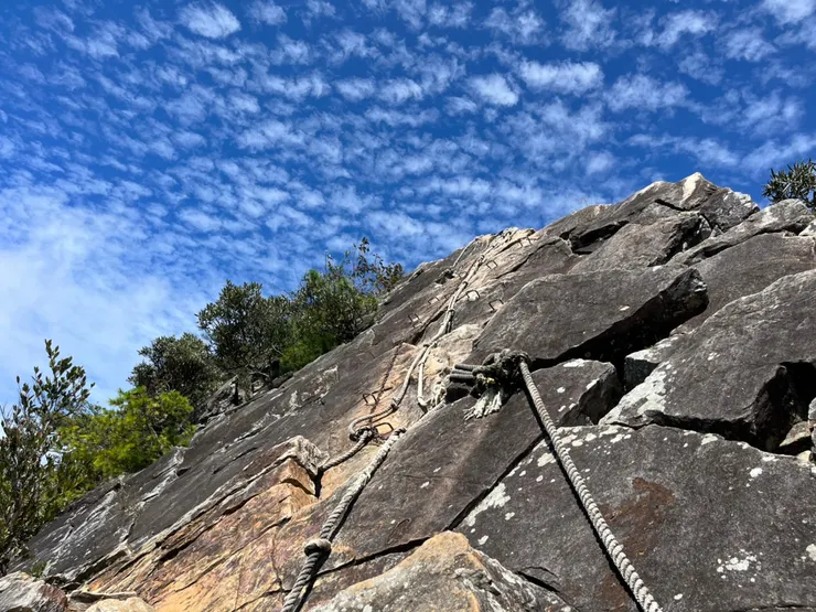 鳶嘴山下坡路段