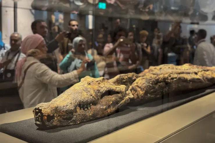 圖片來源：The Grand Egyptian Museum