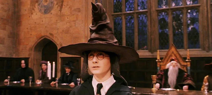 It was a strange sight, seeing Harry standing there with the Sorting Hat on his head.