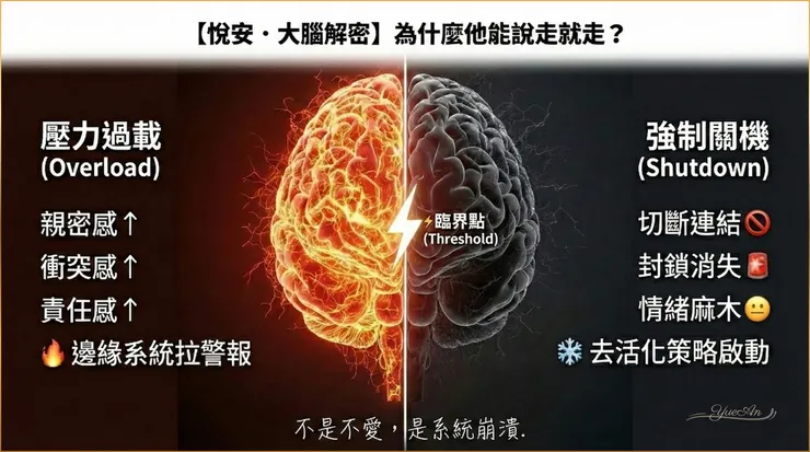 【悅安圖解】從過熱到當機:大腦的強制關機路徑 正如創傷權威 Daniel Siegel 醫師提出的「情緒容納之窗」 概念:左邊紅區是衝出窗外的「過度激發」(焦慮過載);右邊灰區則是跌落窗下的「過低激發」(情感關機)。 當壓力燒斷了理智線(中間閃電),大腦為了自保,會強制執行系統切換。這不是變心,是生理機制上的斷電。