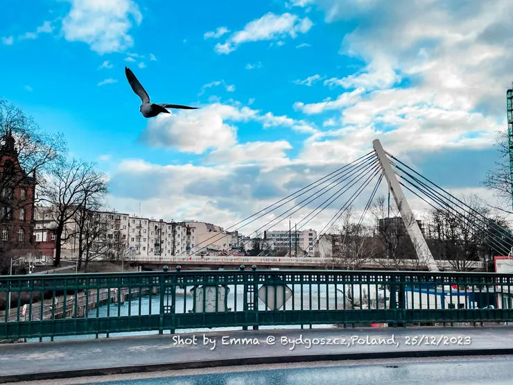 Shot by Emma@Bydgoszcz, Poland. 25/12/2023