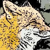 迅狐 shunryu的沙龍