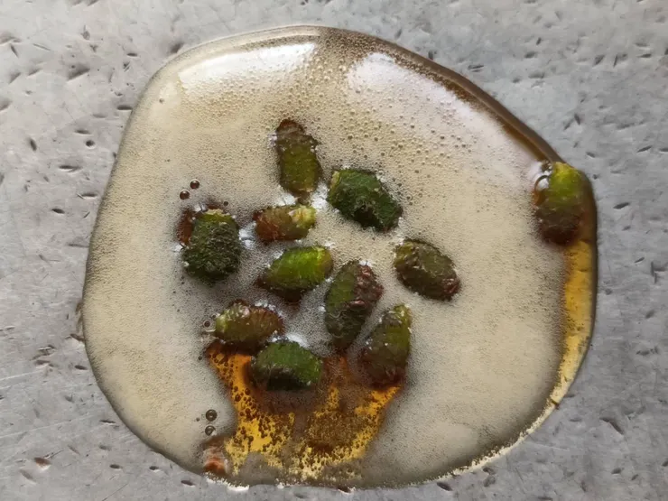 削除松樹雌蕊的紫紅外皮 再來進行蜜煎