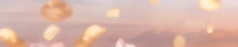 金麟生命送行筆記