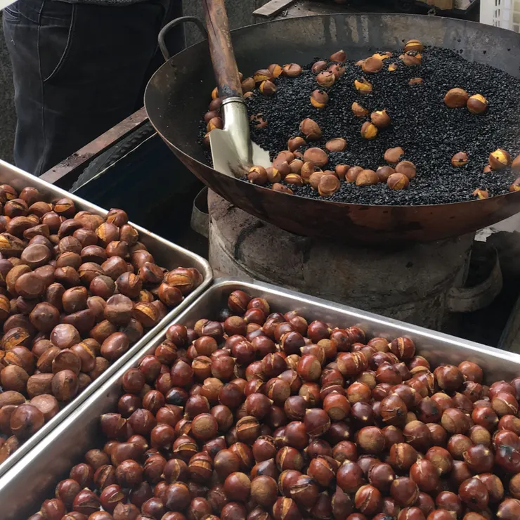 想到秋天想到栗子