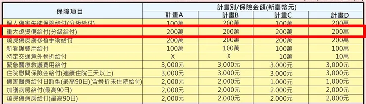 重大燒燙傷額度