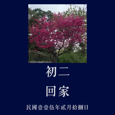 115年農曆新年_初二