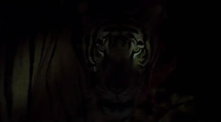 24.《熱帶幻夢》（สัตว์ประหลาด，2004）🇹🇭／🇲🇫／🇩🇪／🇮🇹