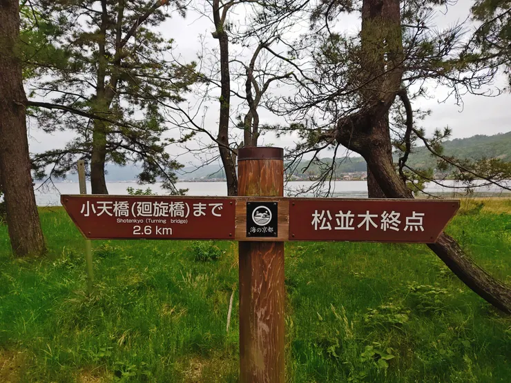 天橋立公園 松並木終點