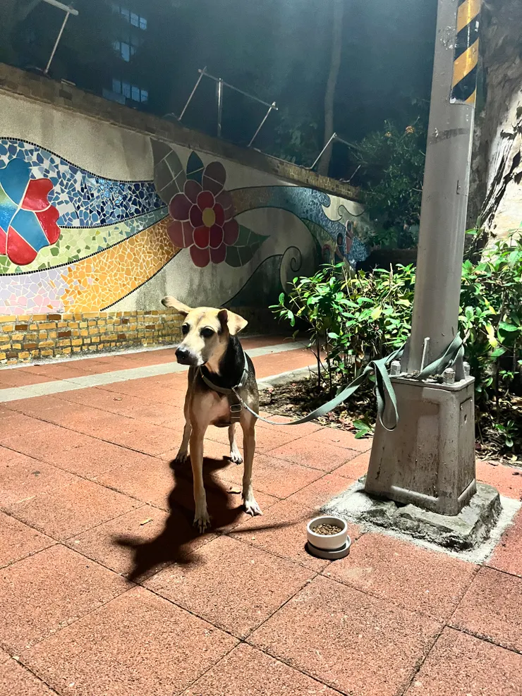 在難度二的地方吃晚餐