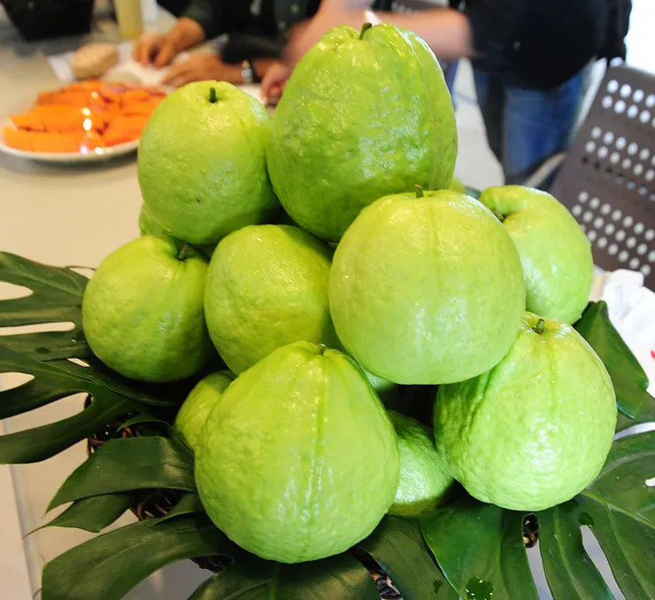 燕巢芭樂（圖片來源：高雄市政府新聞局）