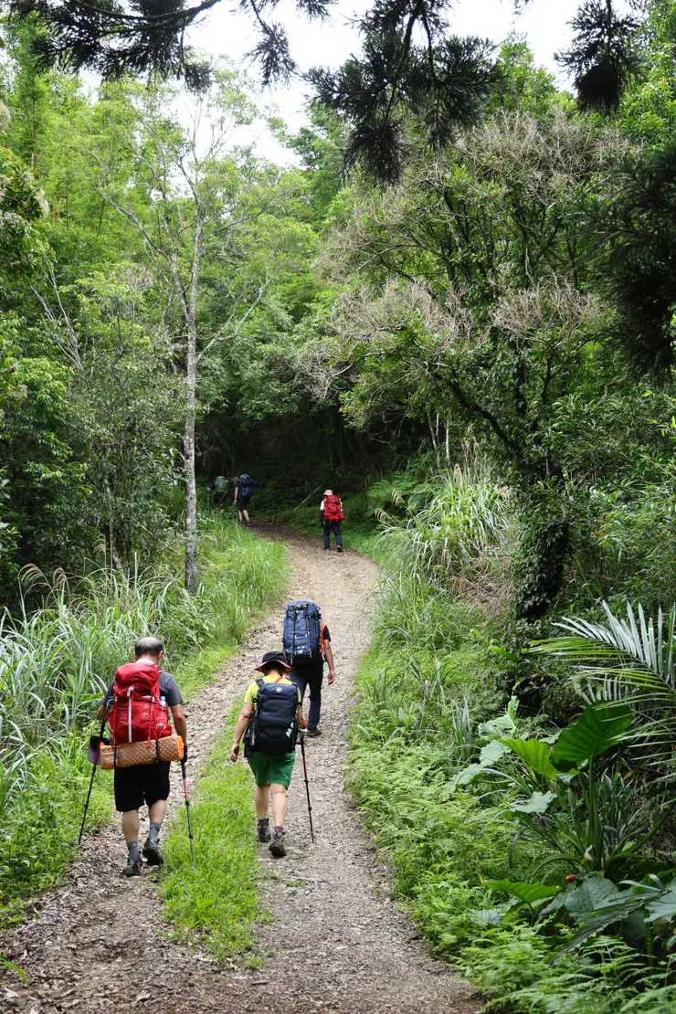 還好古道大部分在林蔭內，不會太曝曬