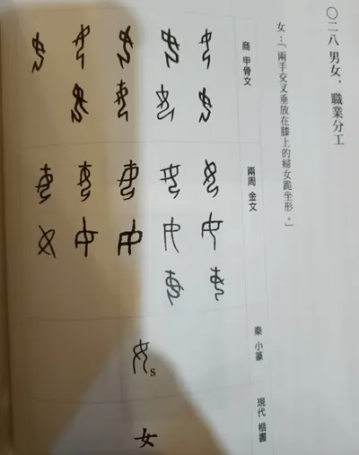 許進雄 文字小講 - ○二八  男女，職業分工