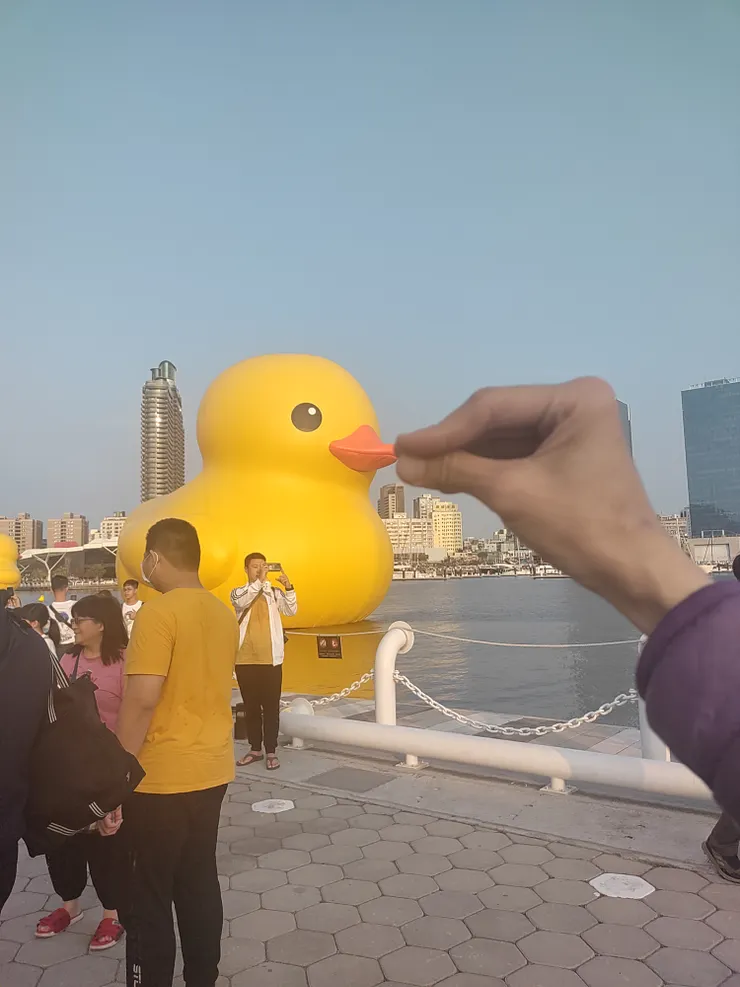 黃色小鴨啾啾~😆