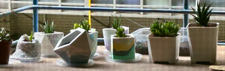 水泥盆+分株多肉繁殖