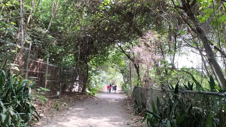 天空步道下的自然步道