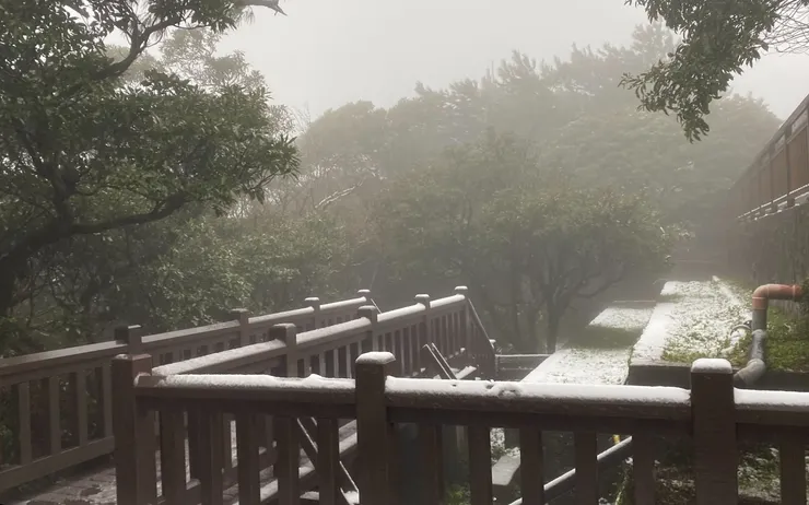 通往「大屯自然公園」的木棧道，上面有許多積雪，配合白霧，一片朦朧。（攝影：抱城，2024/1/23。）