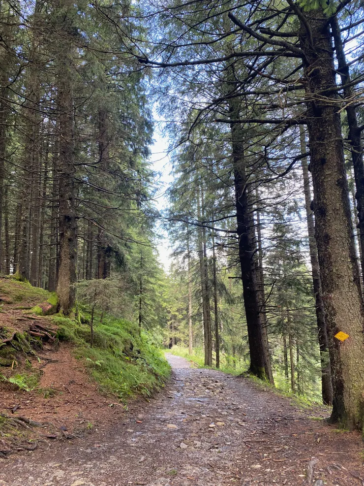 路况70%也挺好走。真心感激自己在勃朗峰徒步练就的脚力，只是下山时段我就因为膝盖疼走得好慢好慢。
