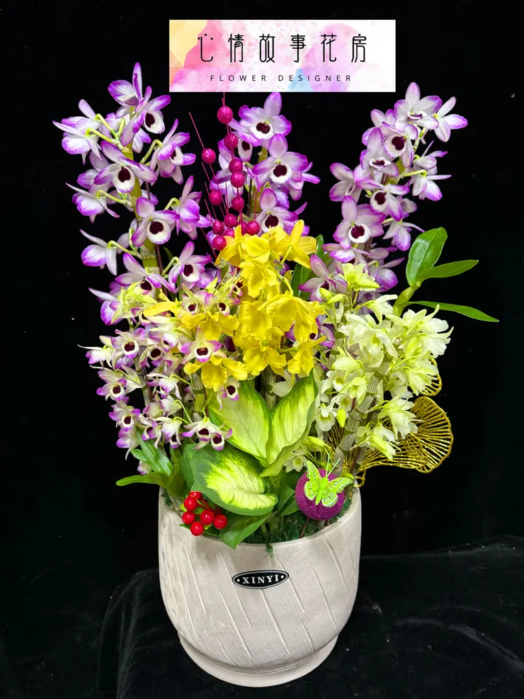 春天最美的賞花選擇——春石斛組合盆栽，為您的生活增添優雅氣息！ 台南心情故事花房